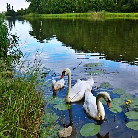 In Kladno With Private Pool * Lány
